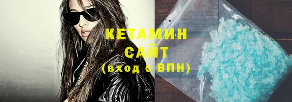 сатива Новодвинск