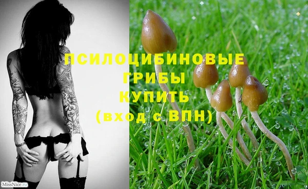 соль ск Нея
