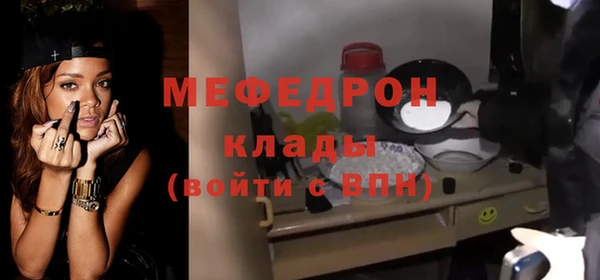 сатива Новодвинск