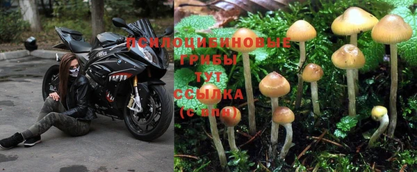 гашишное масло Нефтегорск