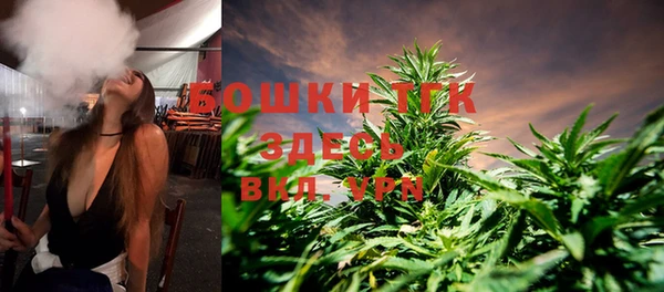 сатива Новодвинск