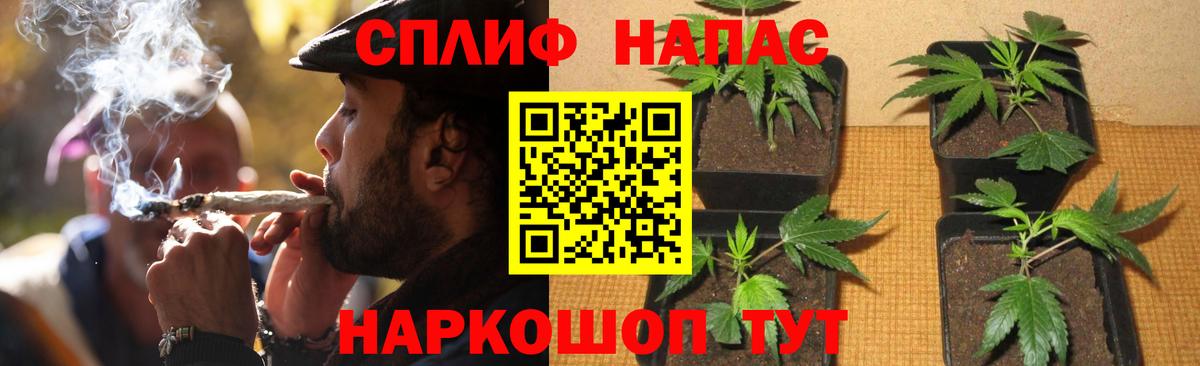 Канабис план  Вход с VPN  Канабис план  Балабаново 