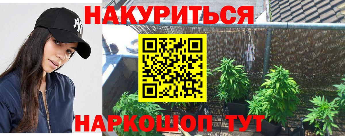 Конопля SATIVA & INDICA Балабаново